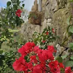 Pensionat Maragoca Retreat Douro