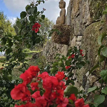 Maragoca Retreat Douro 招待所 *