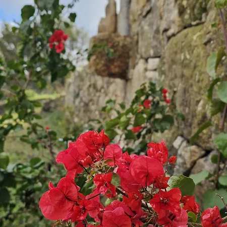 Pensión Casa Da Maragoca