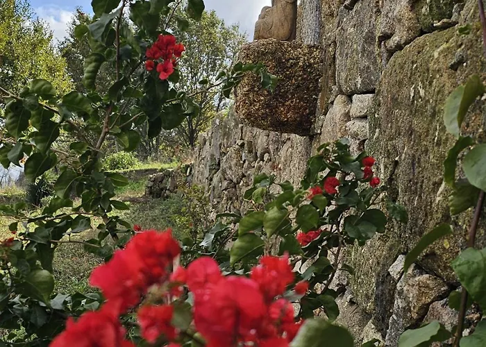 Villa Maragoca Retreat Douro Гостевой дом *