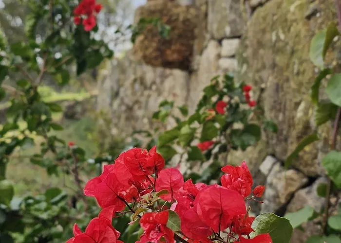 Maison d'hôtes Casa Da Maragoça